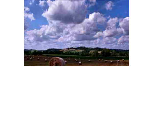 Cumulus