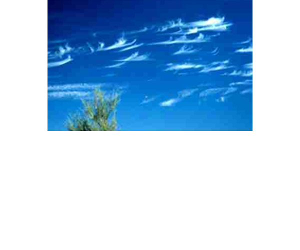 Cirrus