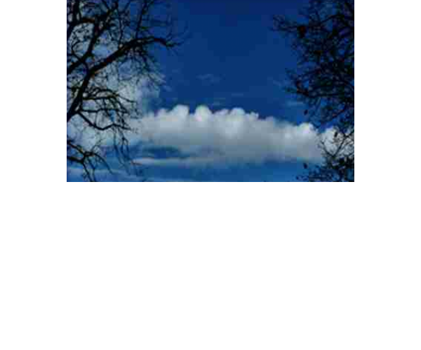 Stratocumulus