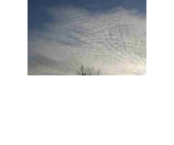 Altocumulus