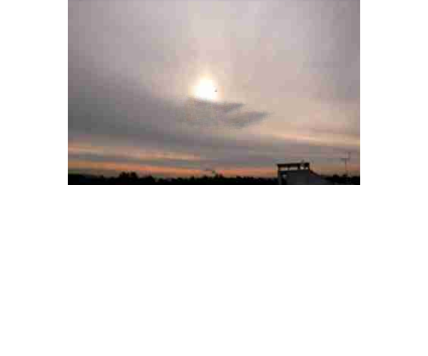 Altostratus