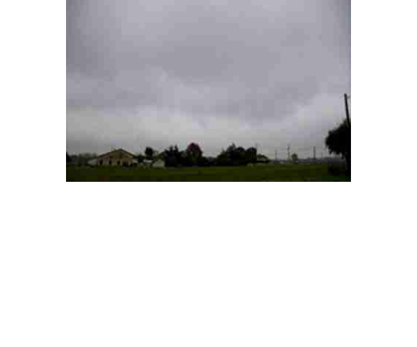 Stratus